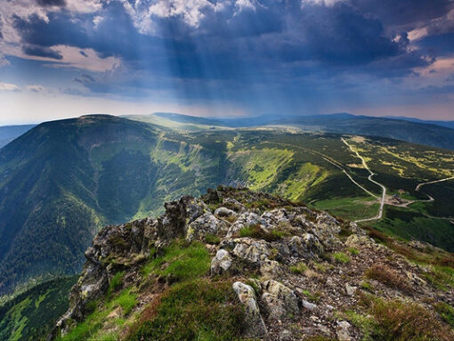 78-tour-1607073984.97183.jpg_600x400